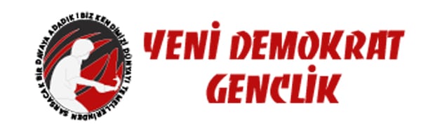 Yeni Demokrat Gençlik 2008-2014