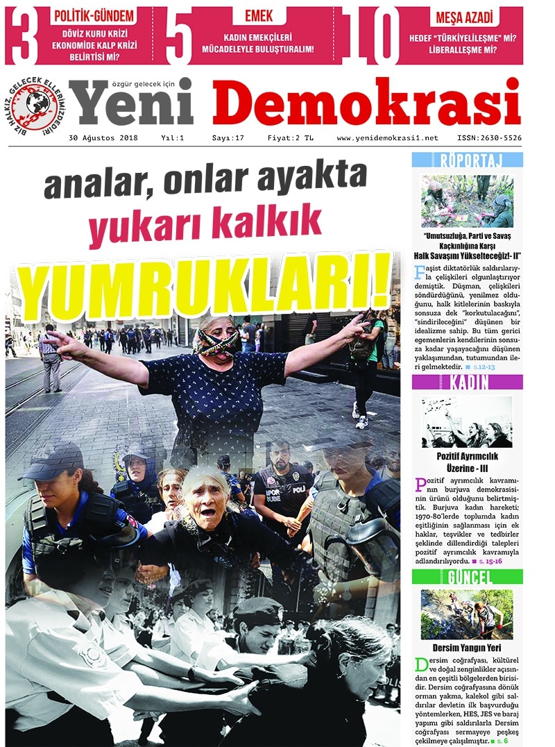 Yeni Demokrasi Sayı 17